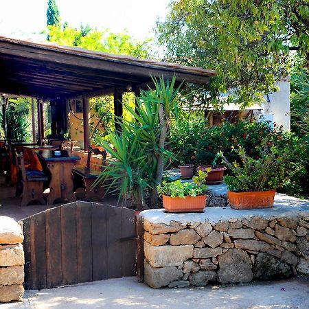 诺托 Agriturismo Calamosche酒店 外观 照片