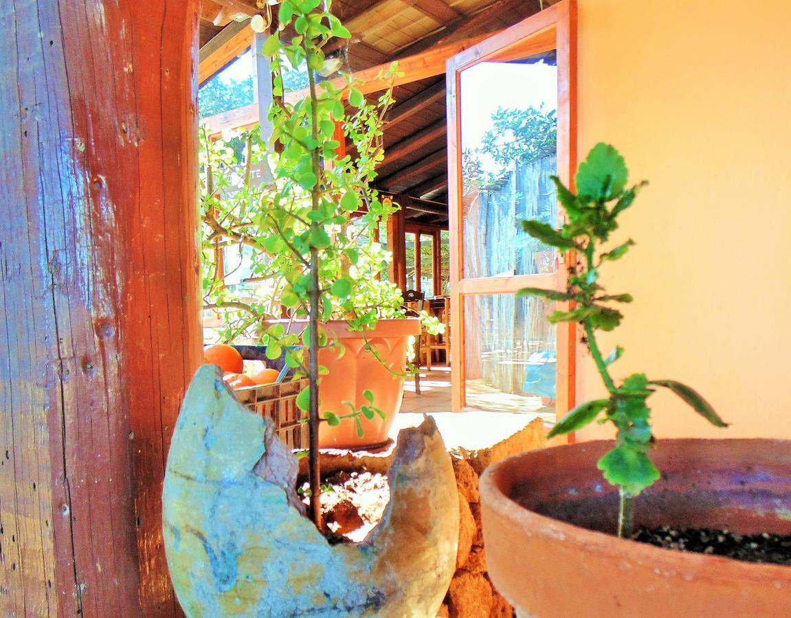 诺托 Agriturismo Calamosche酒店 外观 照片